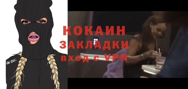 гидра Аркадак