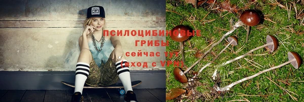 МДПВ Армянск