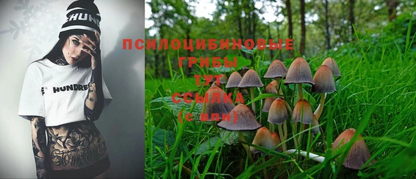 гидра Аркадак