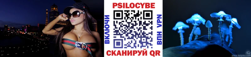 Псилоцибиновые грибы Psilocybe  ссылка на мегу ТОР  маркетплейс клад  Нарткала 
